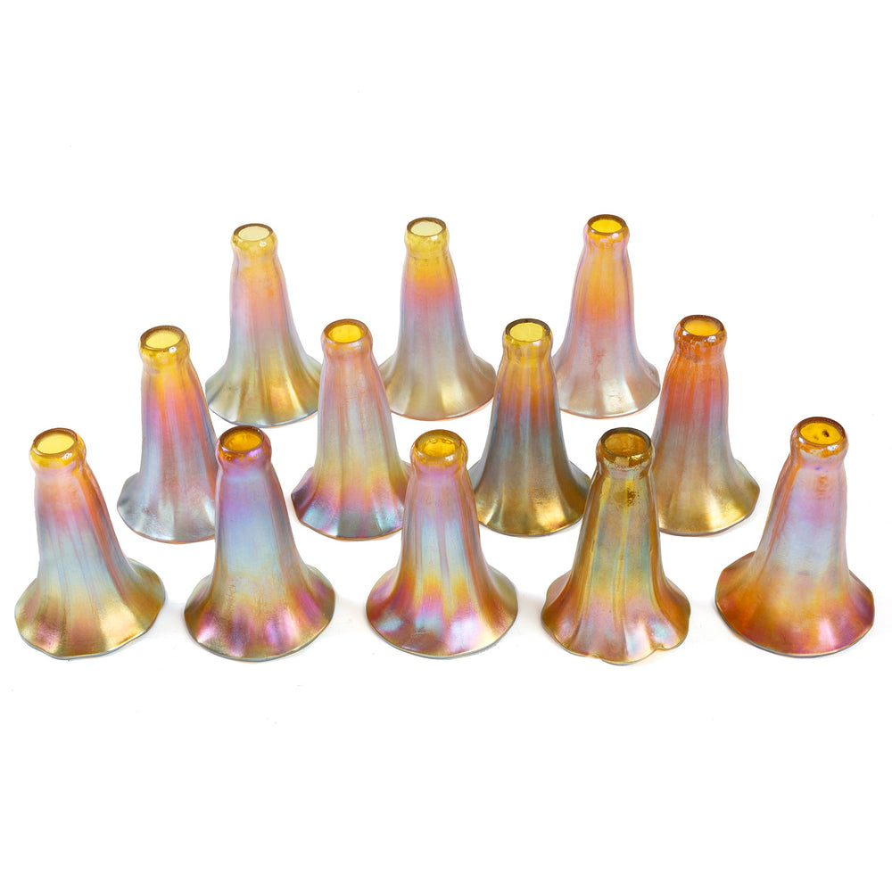 
                      
                        Macklowe Gallery Tiffany Studios New York "Twelve Light Lily" Gilt Bronze Floor Lamp
                      
                    